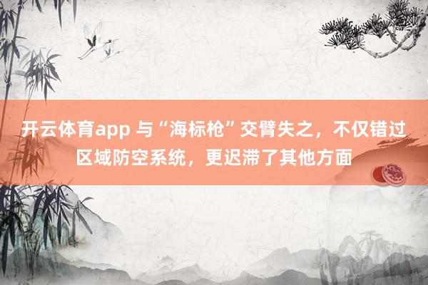 开云体育app 与“海标枪”交臂失之，不仅错过区域防空系统，更迟滞了其他方面