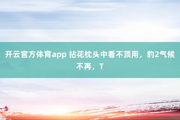 开云官方体育app 拈花枕头中看不顶用，豹2气候不再，T