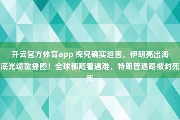 开云官方体育app 探究确实迫害，伊朗亮出海底光缆散播图！全球都随着遇难，特朗普退路被封死