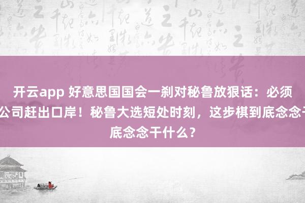 开云app 好意思国国会一刹对秘鲁放狠话：必须把中国公司赶出口岸！秘鲁大选短处时刻，这步棋到底念念干什么？